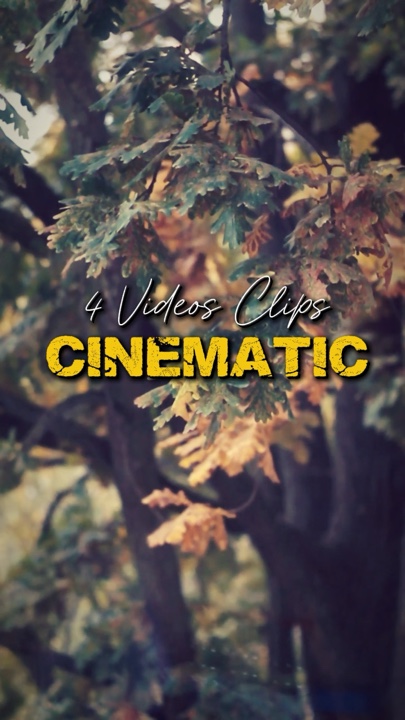 Cinematic 4 Videos 