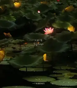 相遇与离别 