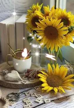 Linda tarde 