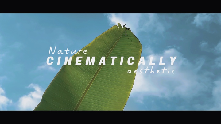 Cinematic Nature aes