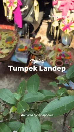Rahina Tumpek Landep