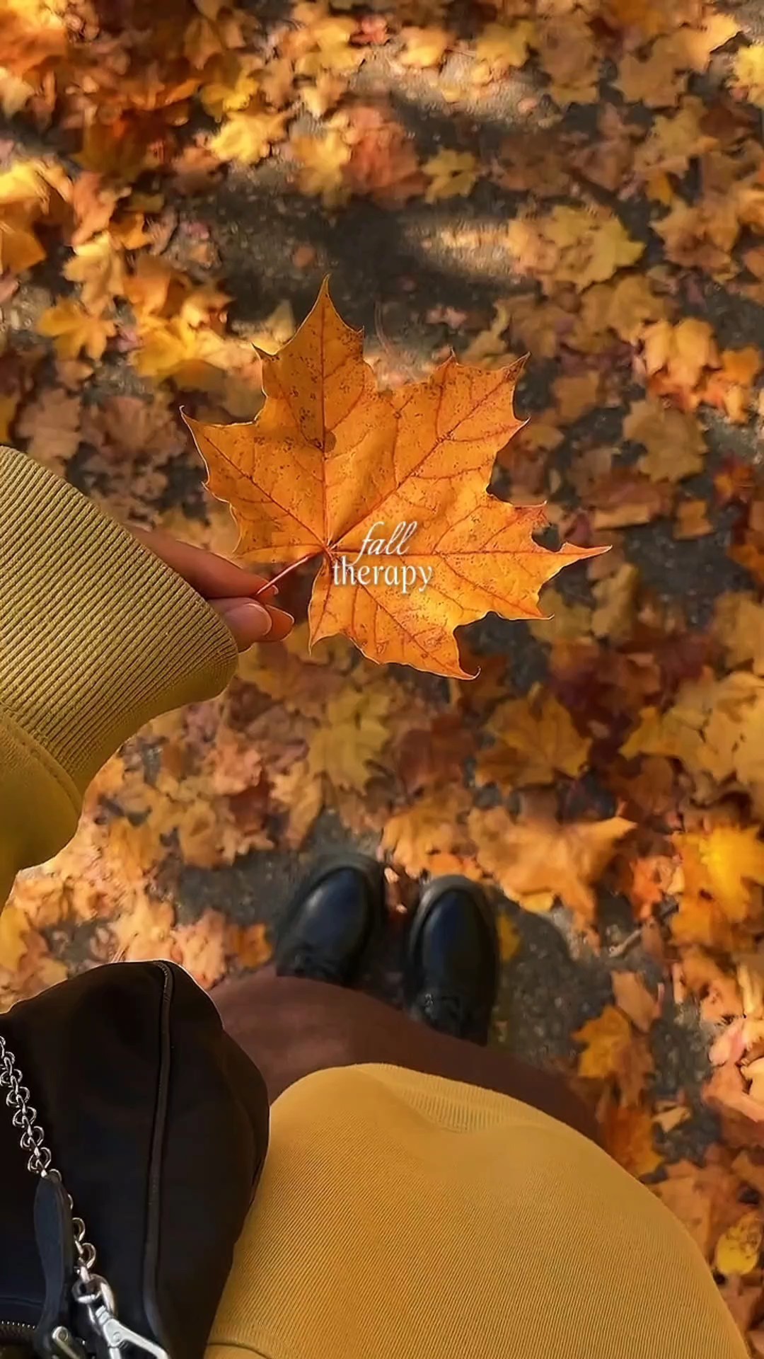fall therapy 