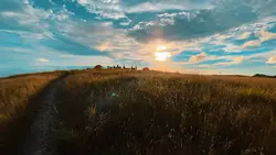 Sunset vibes