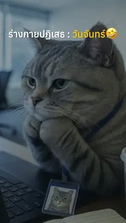 ร่างกายปฏิเสธวันจันทร์