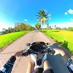 Hitik sa bunga