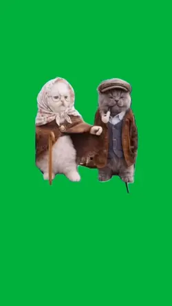 Old together