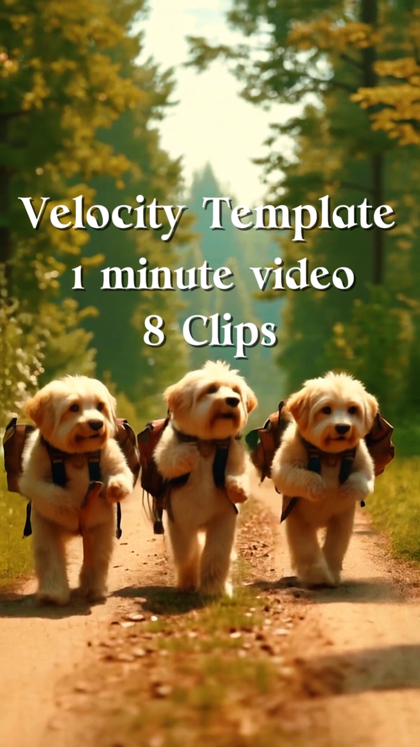 8 Clips Velocity 