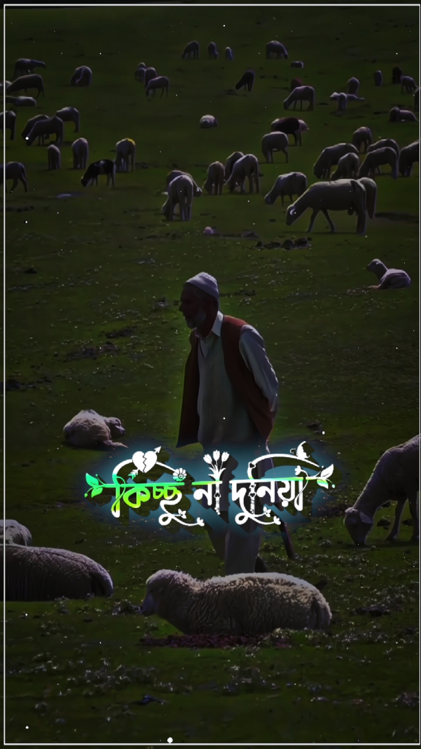 সব চলবে ভাই