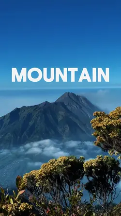 Mountain text trend