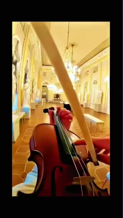 Violon trend