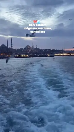 Seni sordum dalgalar