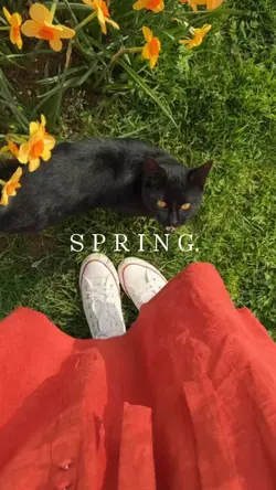 S P R I N G