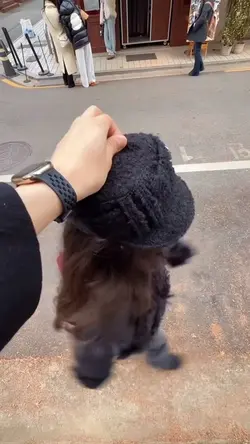 No cute anymore song