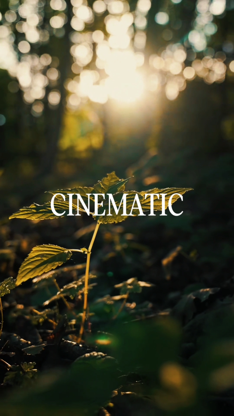 CINEMATIC