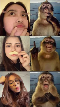 monkey thingking
