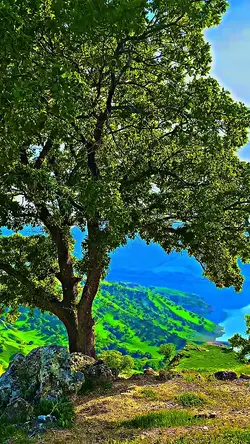 clear HD 