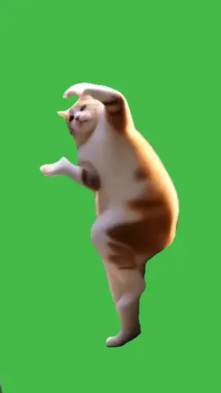 Dancing cat meme