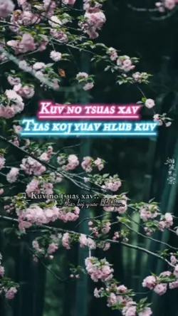 Kv no tsuas xav tias