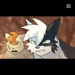 free editp