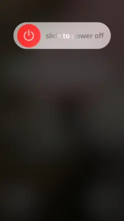 msg