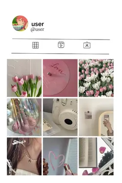ig feed