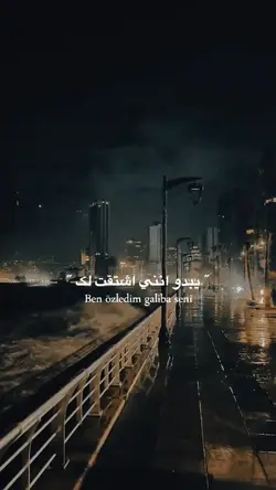 يبدو انني اشتقت لك