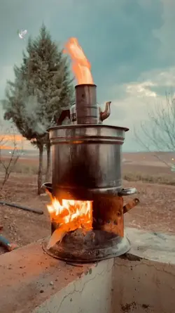 Duygusal vido