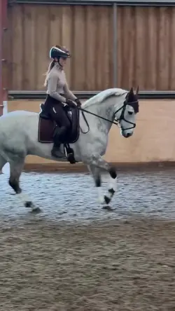 dressage monkey 👀