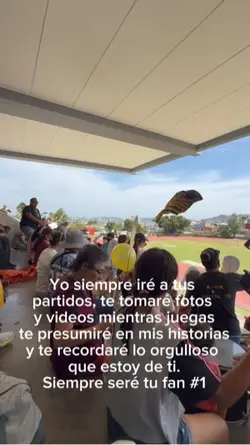 Tú fan