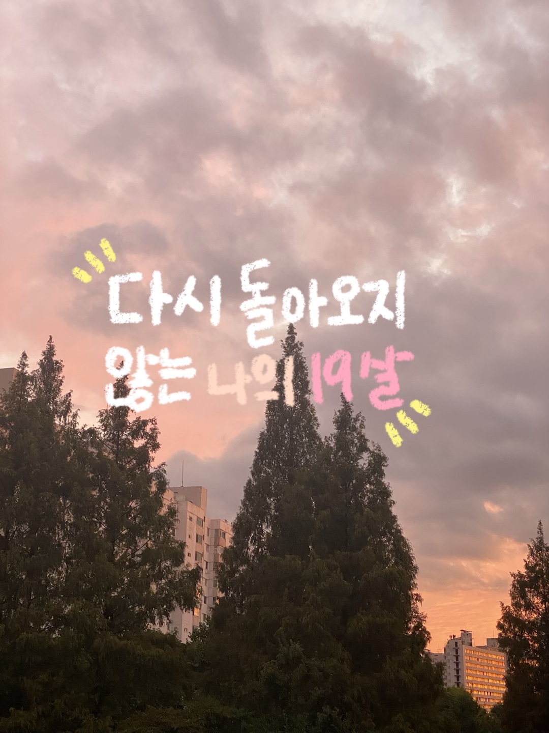 다시 돌아오지 않을 나의 19살