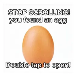 Egg.