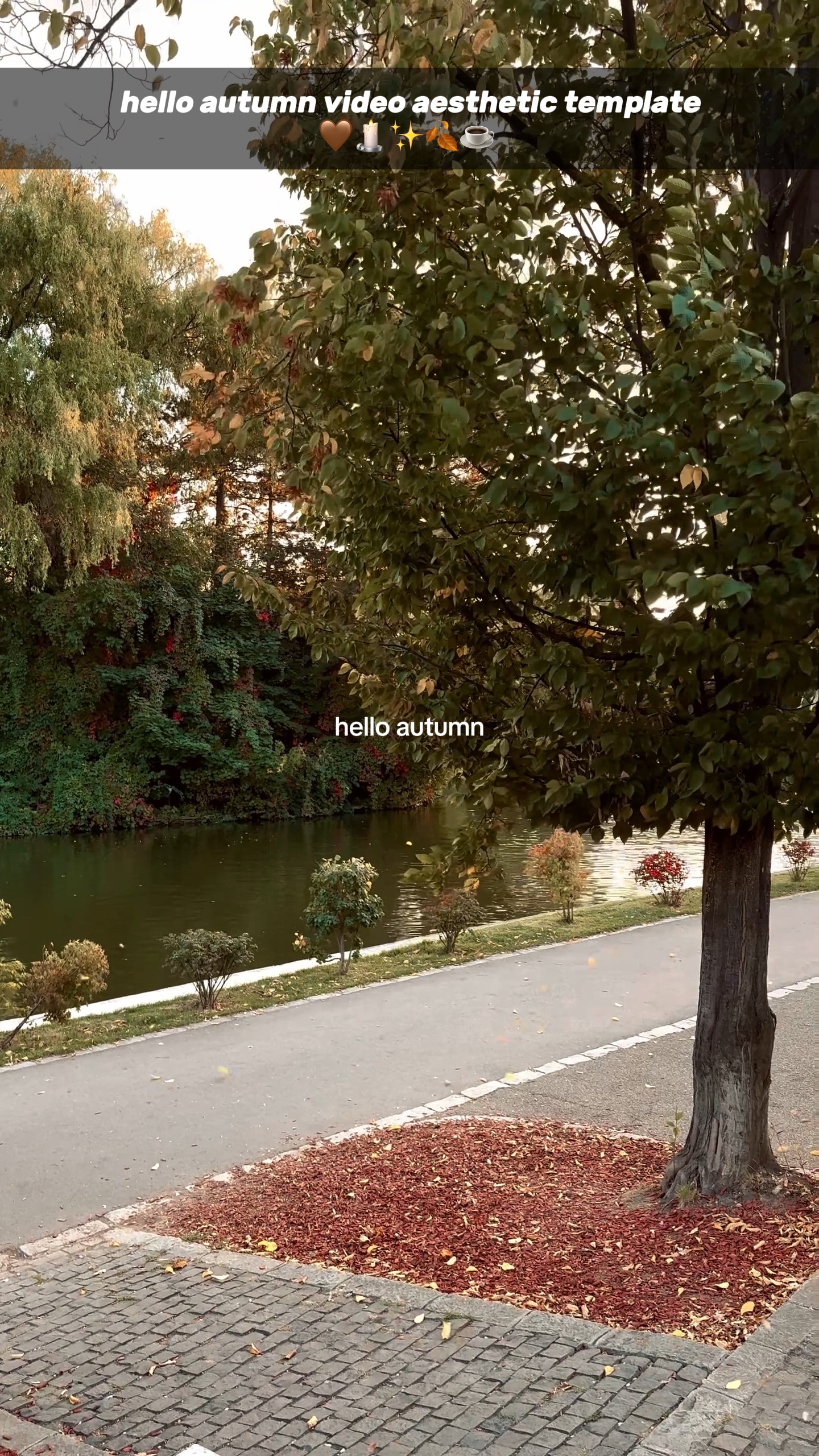 hello autumn