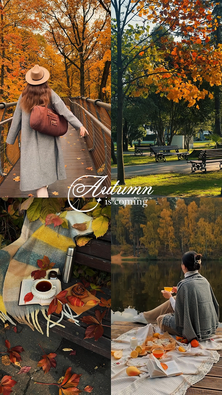 L'automne arrive