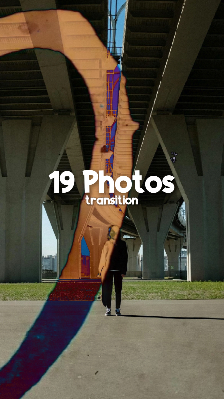19 Fotos Transição