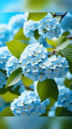 5 Photo 