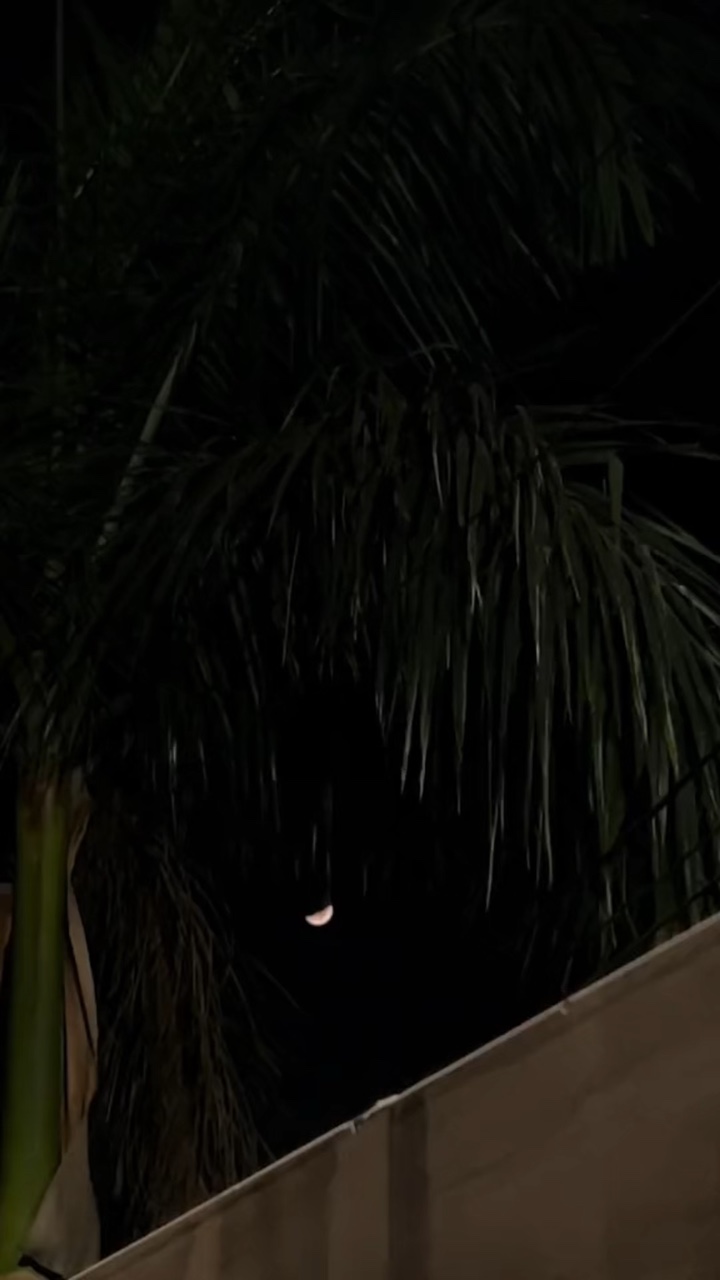 Pashto song 🤍🔥