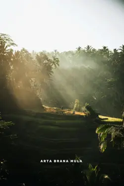 Ray Peni Karya Agung