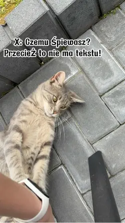 Czemu śpiewasz?