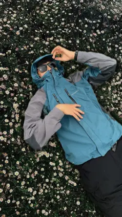 trend bunga daisy