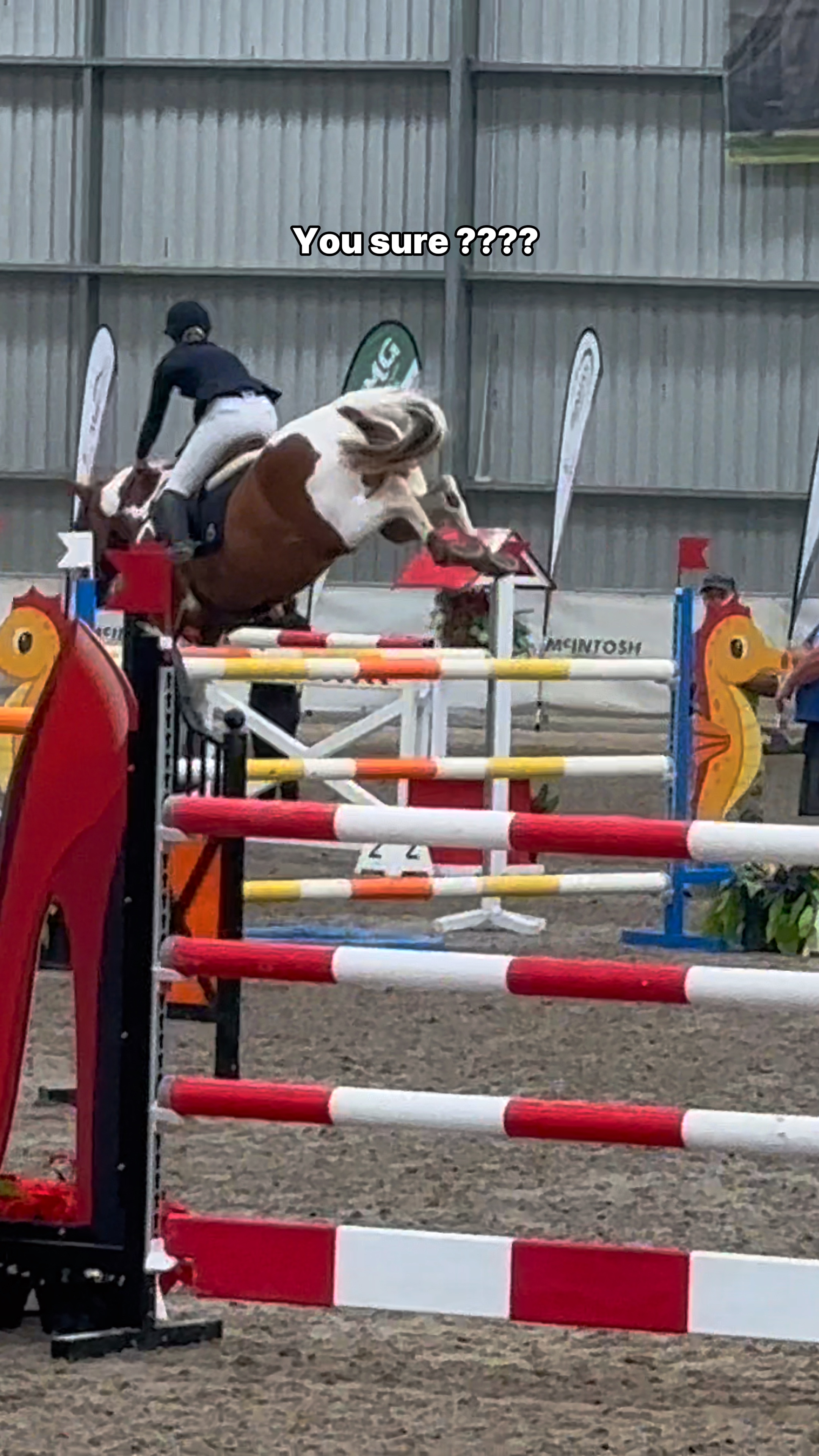 Prove them wrong 🦄❤️