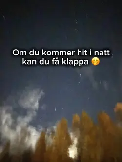 Kissekatt ❤️😝