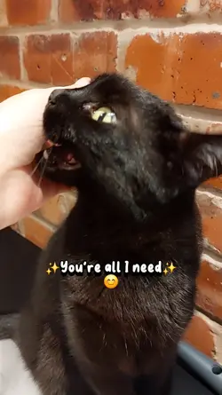 You're all I got!