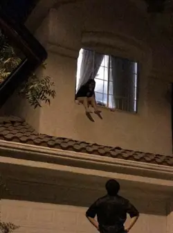 I love you every day