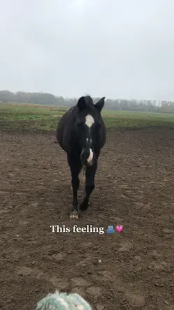 This feeling 💗💗
