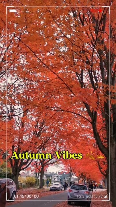 Temporada de Otoño 🍁