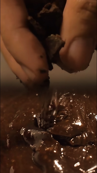 Padaria