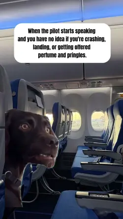 pilot starts speakin