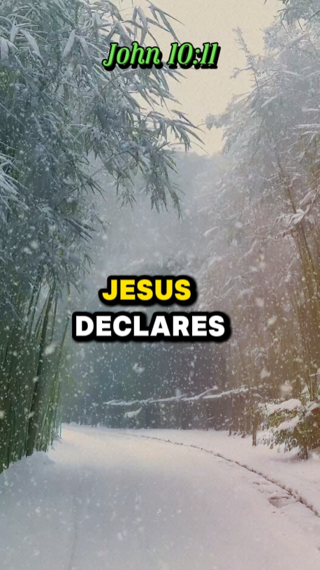 Jean 10 : 11
