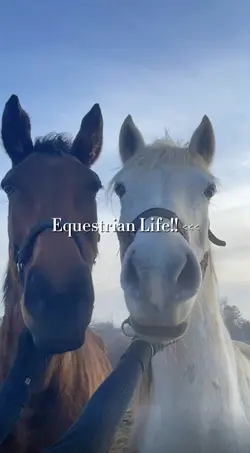 Equestrian Life