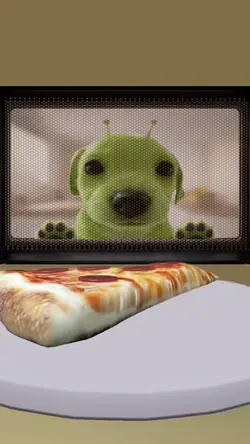 Pizza microwav